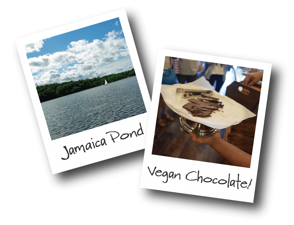 Two polaroids showing Jamaica Pond and a platter full of chocolates.  
