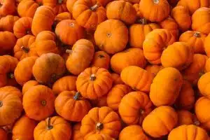 A pile of orange pumpkins in october related to things to do in Boston on an Off The Beaten Path Food Tour